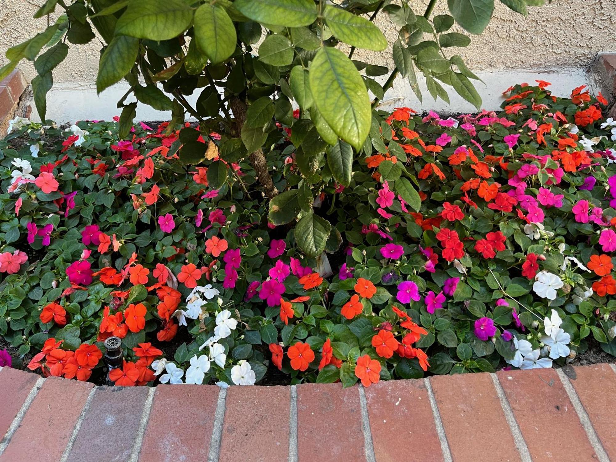 Laguna Inn And Suites San Juan Capistrano Exterior photo